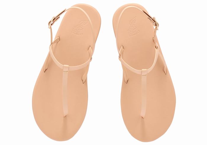 Sandales Bride Arrière Ancient Greek Sandals Lito Flip Flop   | BYB-4897862